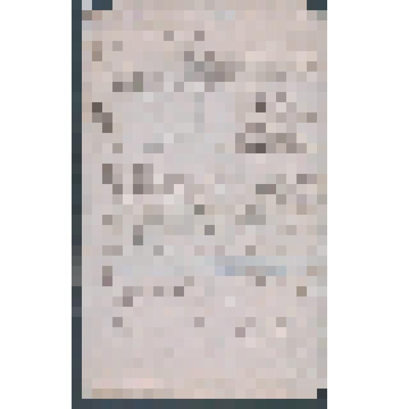 Архивный документ. Протокол общего собрания членов профессионального союза судовых рабочих и служащих паровозных предприятий г. Тюмени