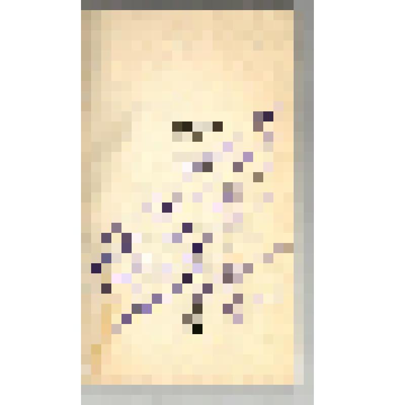 Книги. Книга "Сардаана: Стихи.". - Москва: Современник, 1979