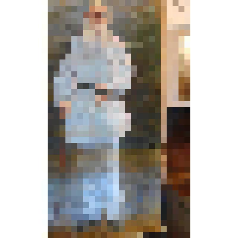 Портрет Л.Н. Толстого