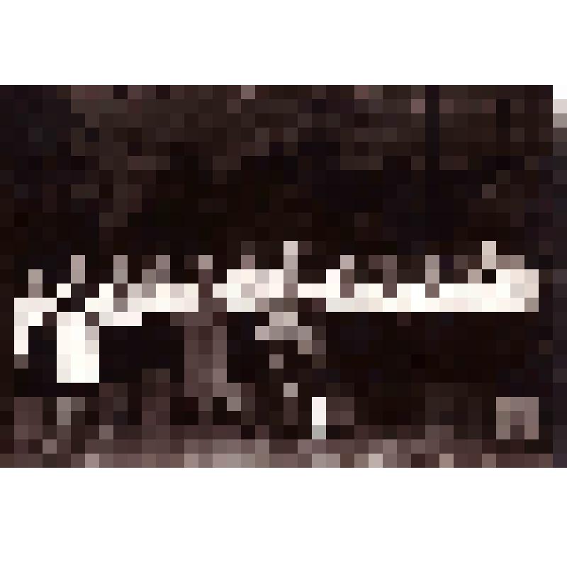 Фото. Выступление вокального ансамбля девочек в доме культуры строителей треста №3, г. Уфа