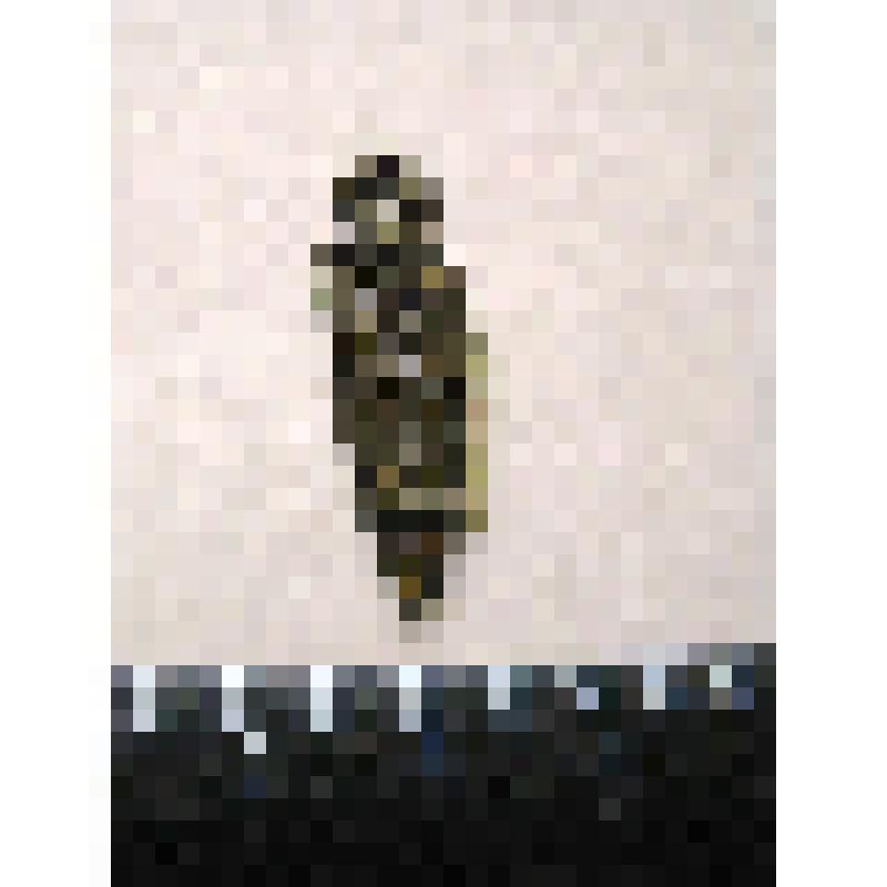 Накладка с изображением фигуры человека (неразборчиво)