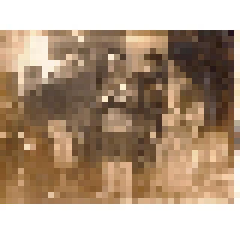 Фотография "Татарская железнодорожная школа №36 г.Абдулино ул. Чкалова"