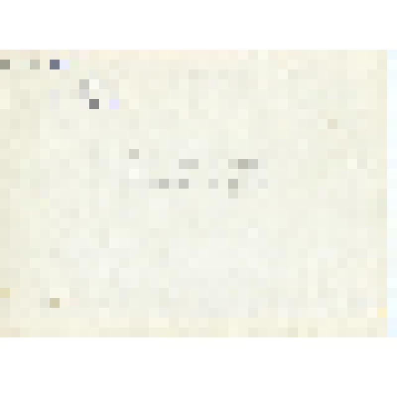 Фотокопия. Пожарная дружина Каслинского завода