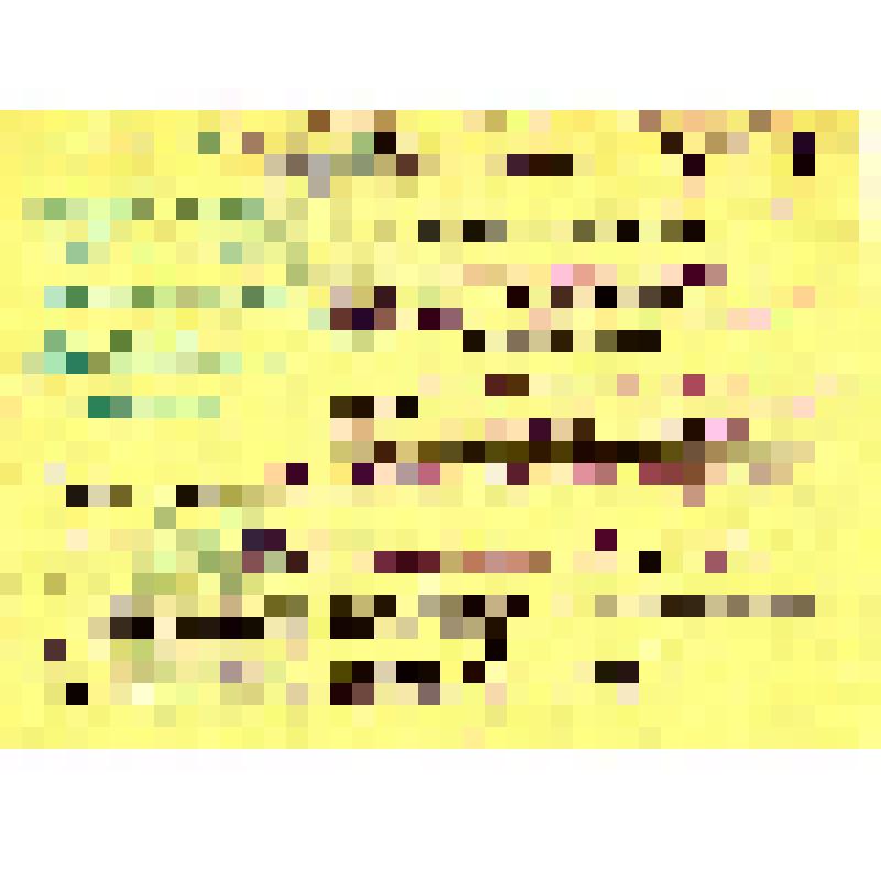 Извещение о гибели красноармейца Соболева Павла Михайловича. Документ выдан временно исполняющим обязанности Междуреченского райвоенкома капитаном Мурановым в 1955 г. Адресовано Соболевой Софии Александровне