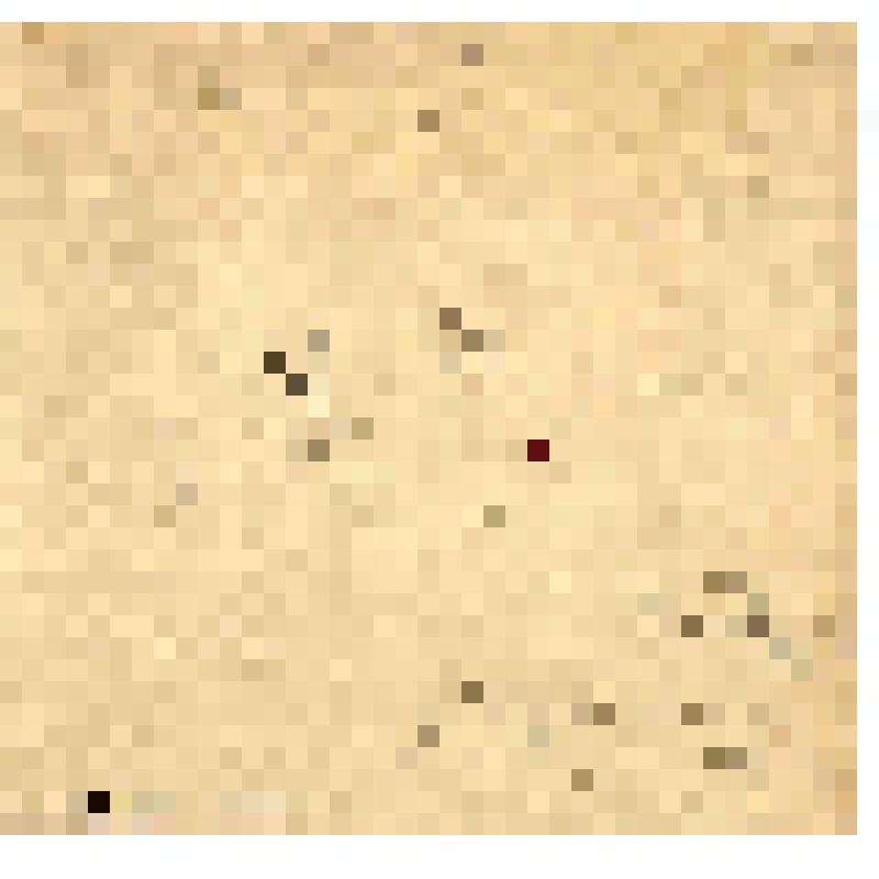 Этюд. Городской вечерний дворик