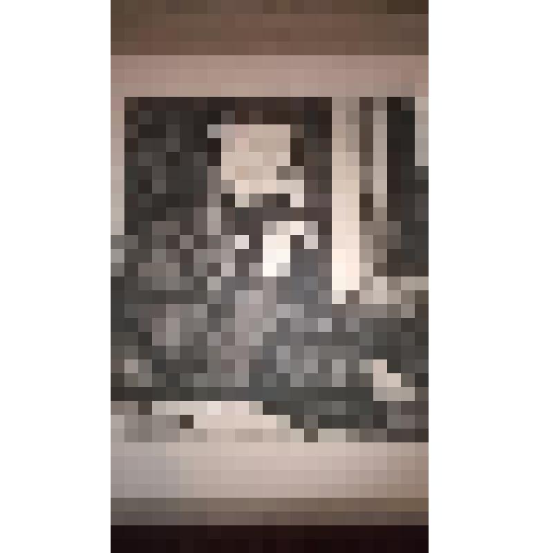Ф.М. Достоевский