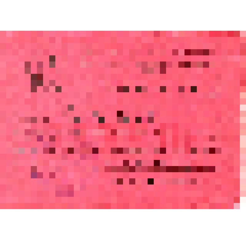 Мандат № 85 делегата 38-ой Сковородинской районной партийной конференции от электро-станции Дзюба А.М