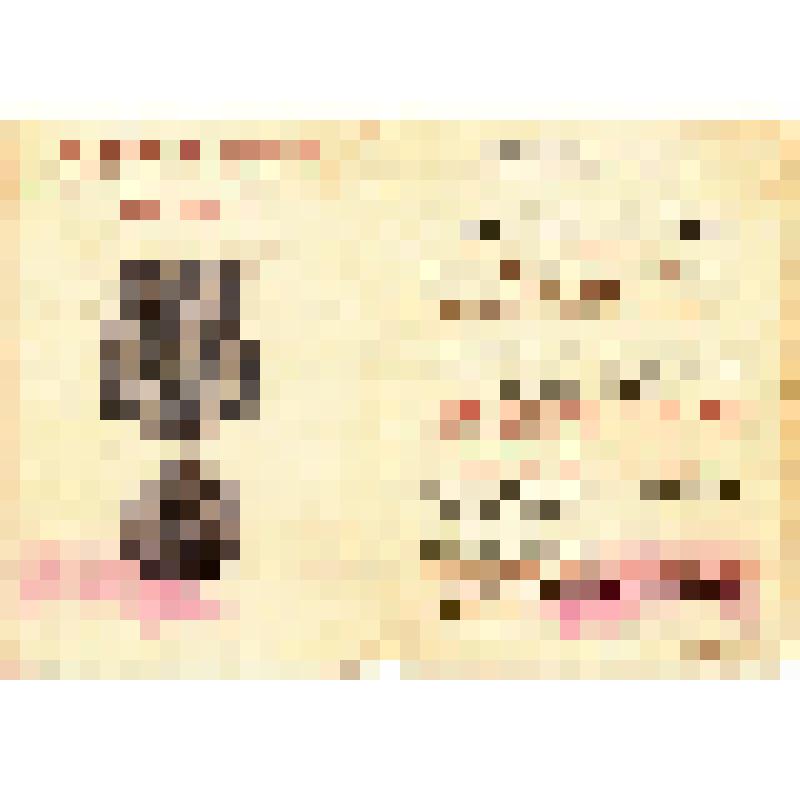 Удостоверение к медали "За  Победу над Германией в ВОВ 1941-1945 гг."  Ч № 0286759 от 29 мая 1946 г. Печетова С.Д