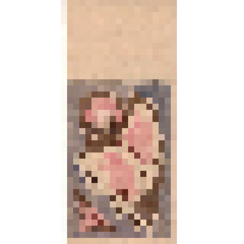 Орнамент. Проект декора палантина. Рисунок