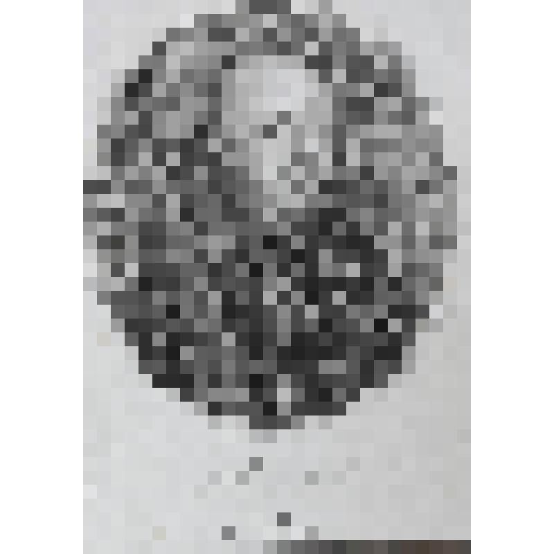 Портрет епископа Августина