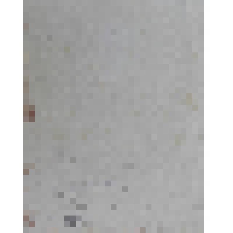 Портрет епископа Августина