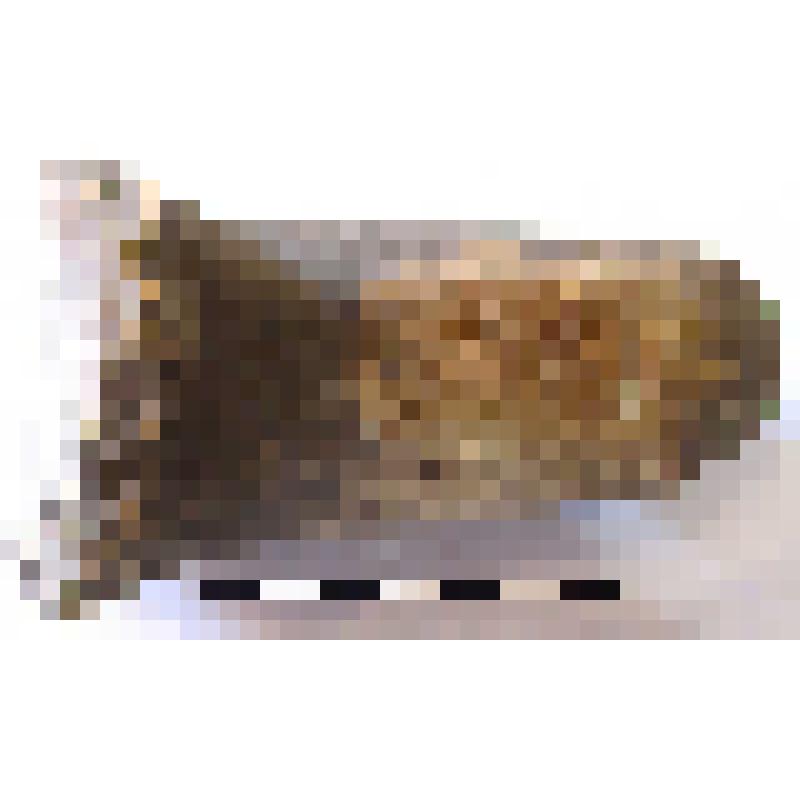 Клеймо на ручке родосской амфоры