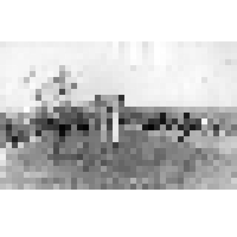 Фото ч/б. Шествие жителей Зеленограда и окрестностей из пос. Андреевка в сторону д. Александровки, в связи с перезахоронением в братскую могилу д. Александровка праха троих погибших воинов. 18.10.1981 г