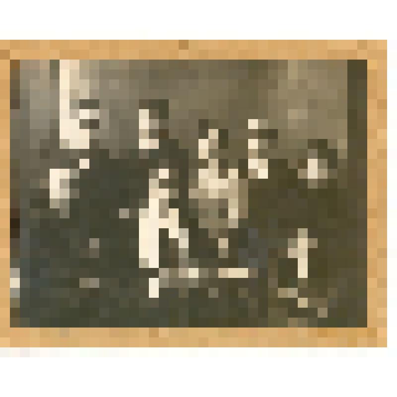 Фотография "Семья Захарьянц (в прошлом из рода Маликонян - Багратунц)"