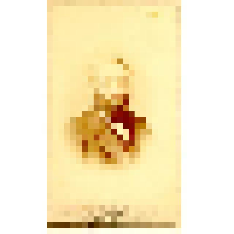 Фотография. Виллуан Александр Иванович