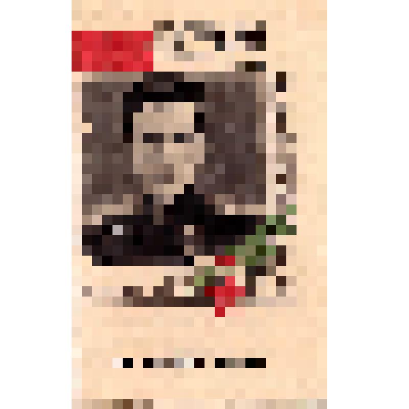 Главное политическое управление Красной армии. Герои Отечественной войны. Герой Советского Союза Иван Устинович Харченко