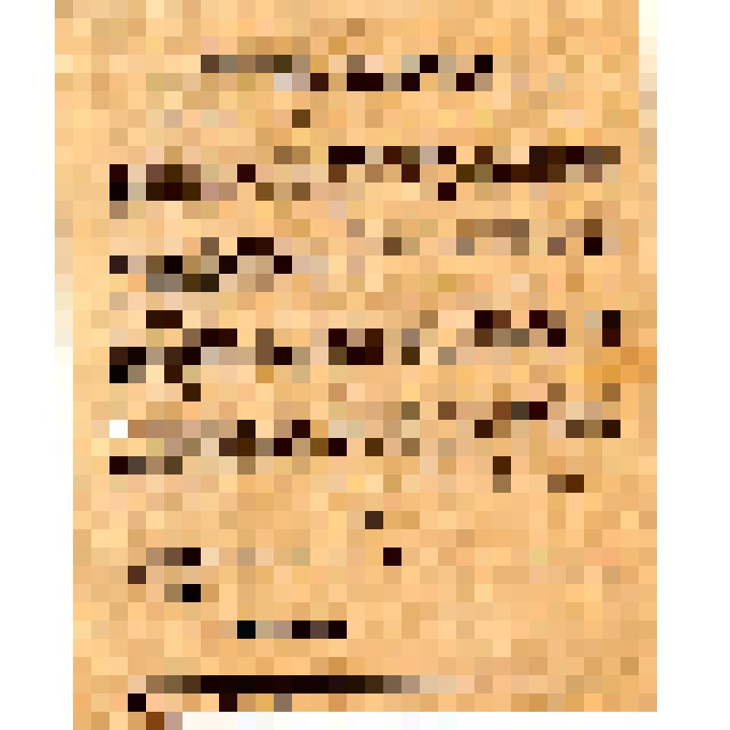 Совинформбюро. Красные партизаны. Смерть немецким захватчикам! Из оперативной сводки совинформбюро за 27 ноября 43 г