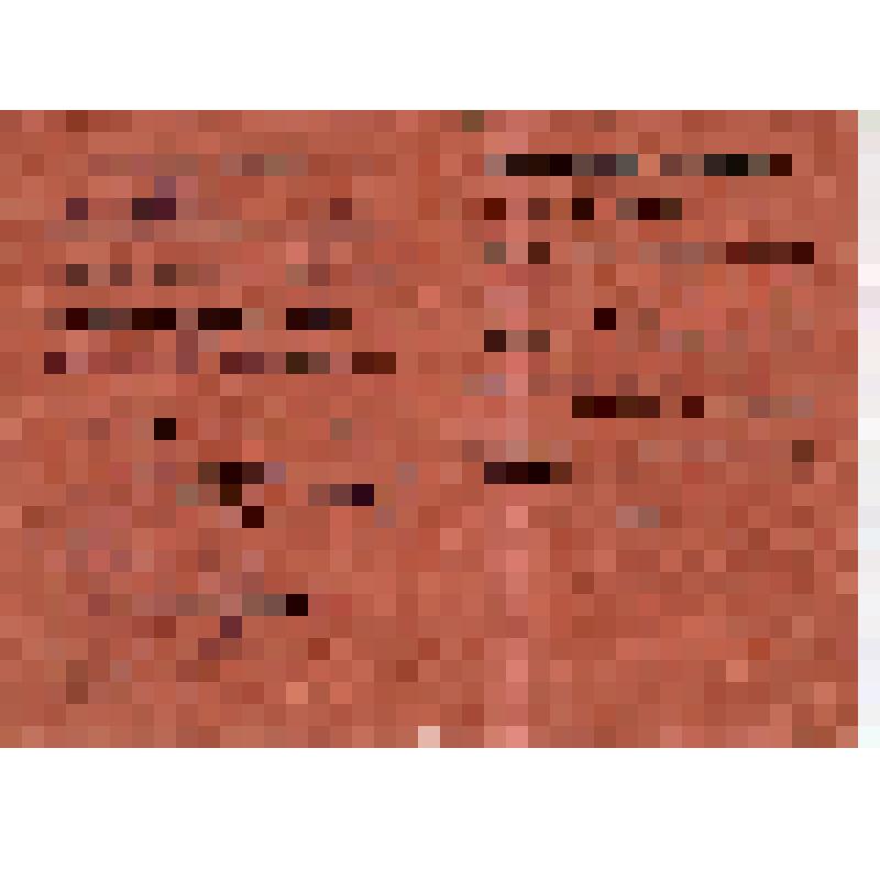 Делегатский билет N244 Цимбала Г.В., делегата 2-ой конференции комсомола Николаевщины (на украинском яз.)