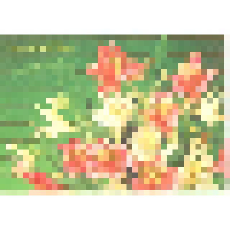 Открытка иллюстрированная поздравительная «Поздравляю!»