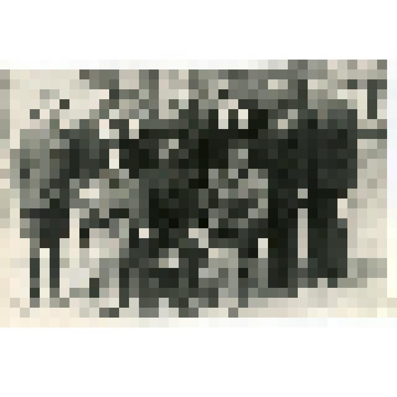 Фотография. Чеканова Н.И. (сидит первая справа) среди сотрудников СУ-3