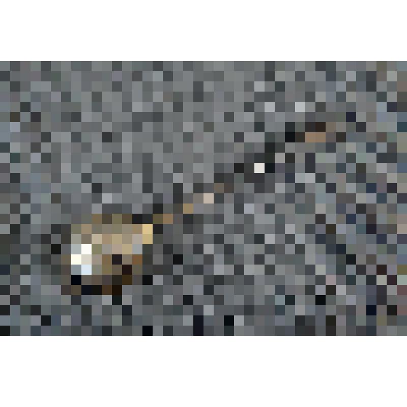 Ложка десертная