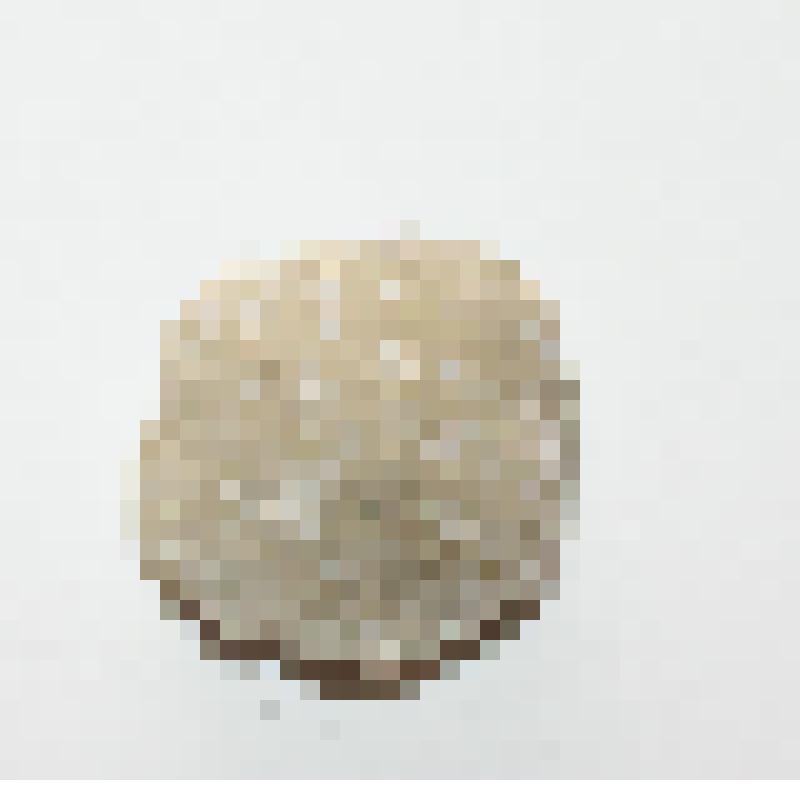 Ископаемое (из коллекции: Геологические образцы ископаемых и окаменелостей из разрезок шахты "Ленинградская" ЛПО "Ленинградсланец")