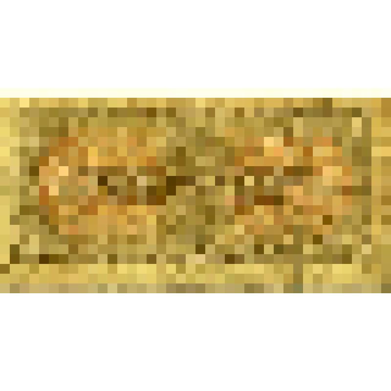 Бумажный денежный знак. Государственный казначейский билет СССР 1 рубль. 1 рубль (бО 973188). Союз Советских Социалистических Республик (СССР)