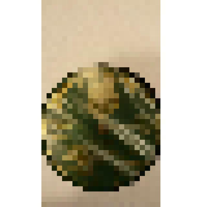 Грампластинка. Пьеса: "Spåvalsen". Исполняет Calle Johansson и Nycöping под аккомпанемент фортепиано Хельги Линдберг; Пьеса: "Ett sjömansbrev". Вальс. Исполняет Calle Johansson и Nycöping под аккомпанемент фортепиано Хельги Линдберг