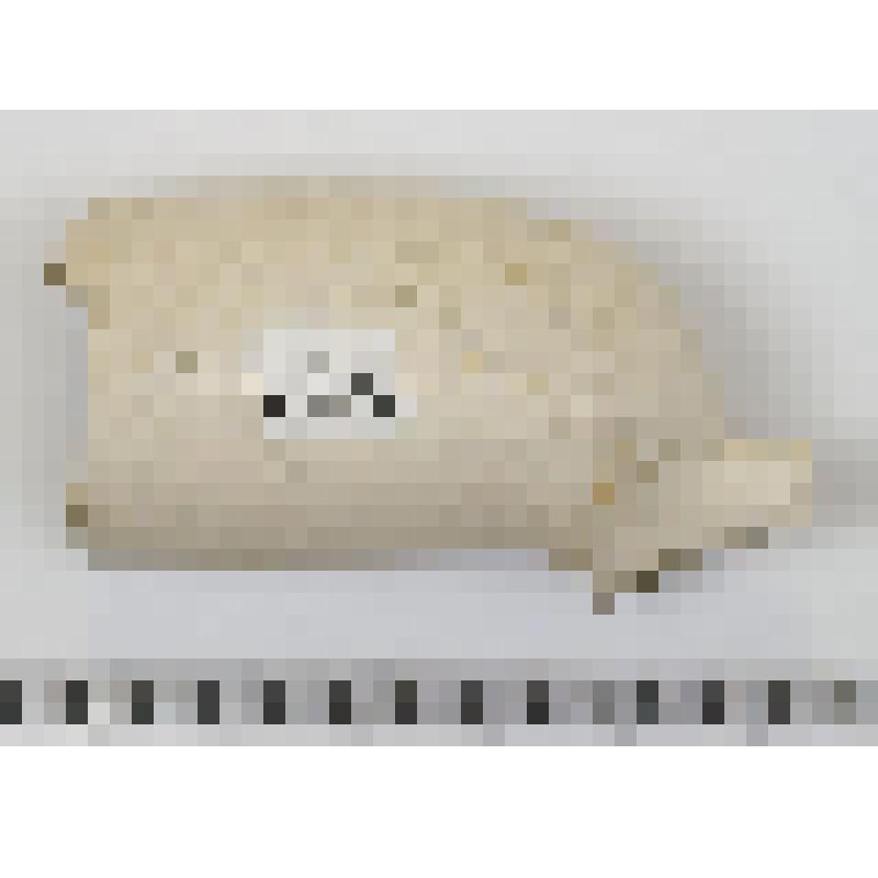 Чашка курительной трубки