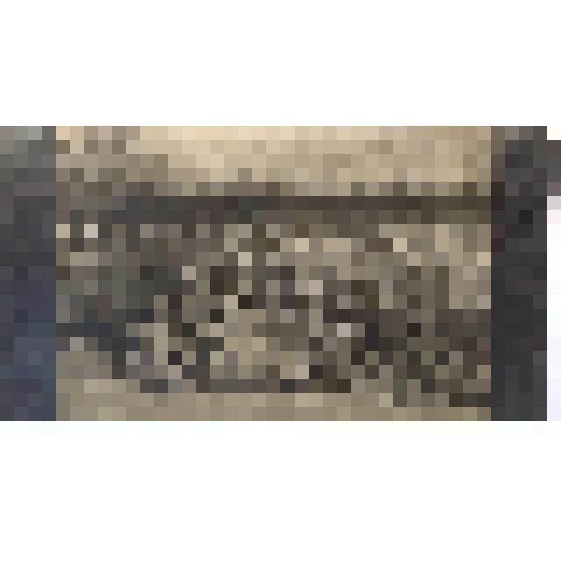 Фотография ч/б. Санитары и сестры полевого отряда. Сидит, опираясь на шашку – Руднев Н. [1915г.]