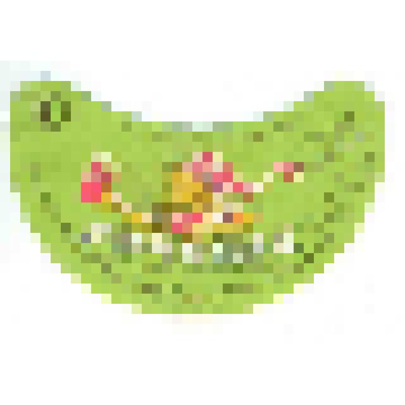 Кольеретка-этикетка горловая к напитку «Лимонад» производства Московского завода безалкогольных напитков, из коллекции кольереток – этикеток горловых к безалкогольным напиткам