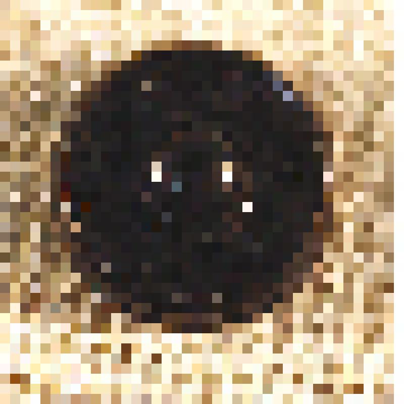 Кнопка платяная, из коллекции бытовых предметов семьи Соломоновой Любови Яковлевны, зам.директора СОМК по развитию музея