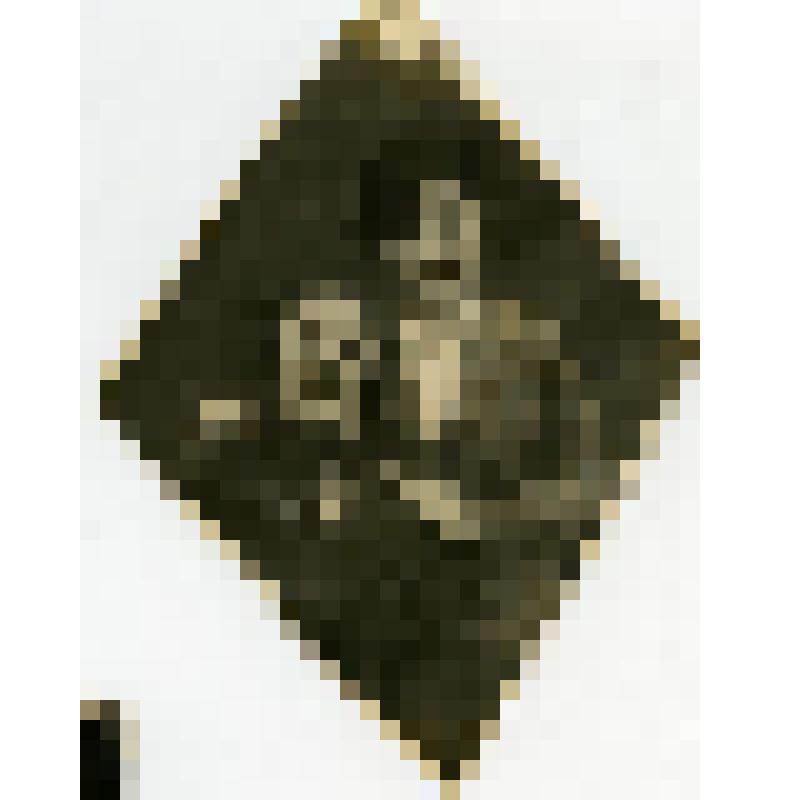 Фотография. Богомолова З.А., ученица девятого класса, с матерью