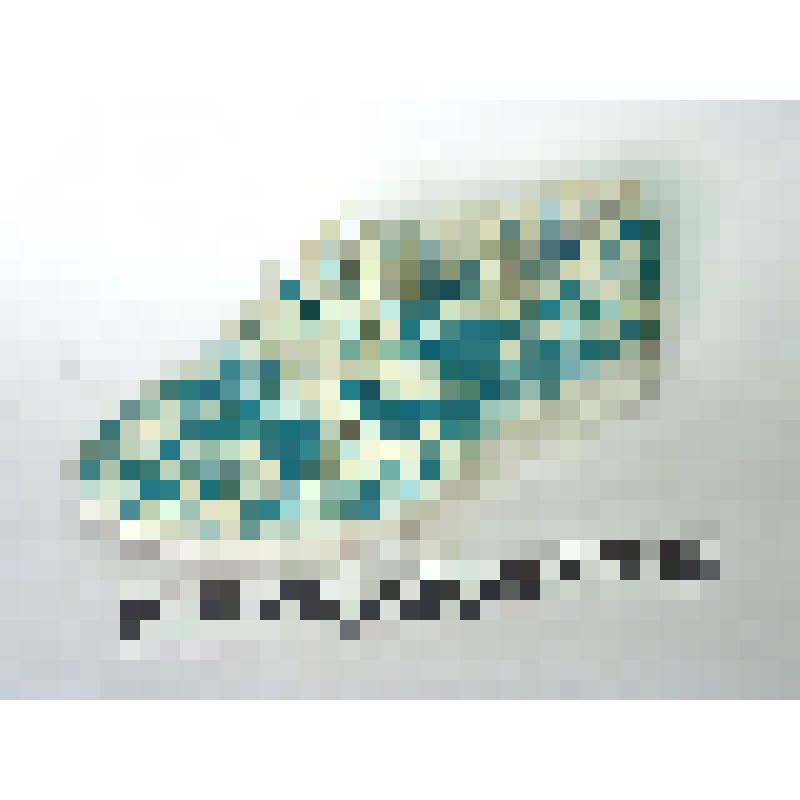 Полуботинок школьный, белого, зеленого цветов, блочков три пары