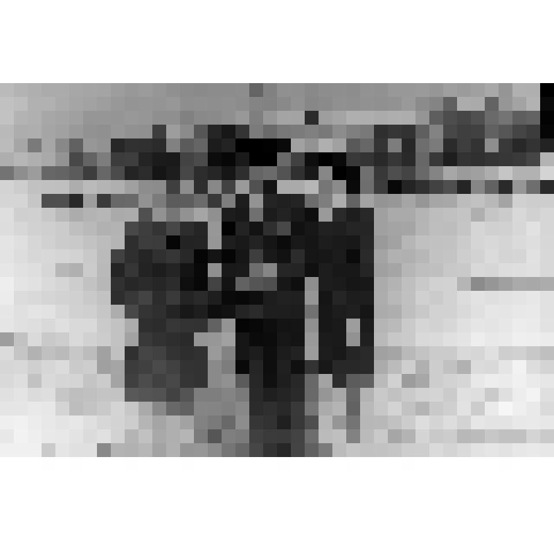 Тращенко Петр Федорович с инспекторами детской комнаты милиции