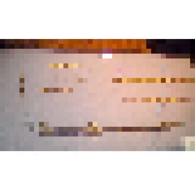 Зал N 4 выставки "Аланский всадник". Экспонаты из коллекции ГИМ: ремень сбруйный, сабля