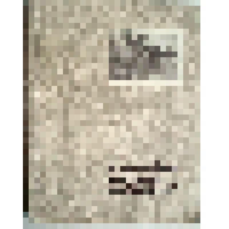 Книга "Государственный художественный музей БССР. Краткий путеводитель" (на белорус., англ., франц., нем. яз)