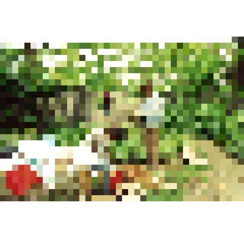 Лукьяшко С.И. со студентами на археологическом раскопе по ул.Дзержинского, г.Азов