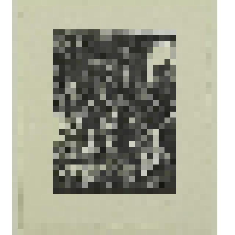 Иллюстрация к рассказу М. Твена "Знаменитая скачущая лягушка из Калавераса". гравюра