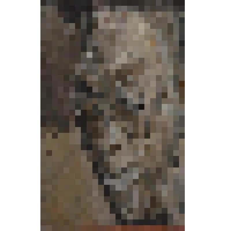 Картина «Улыбающийся идол»
Автор:Доможаков Александр Викторович