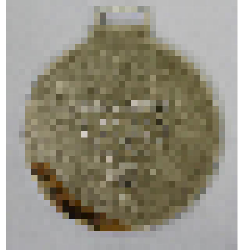 Медали памятные. Медаль "Международная детская сибириада. Абакан 95"