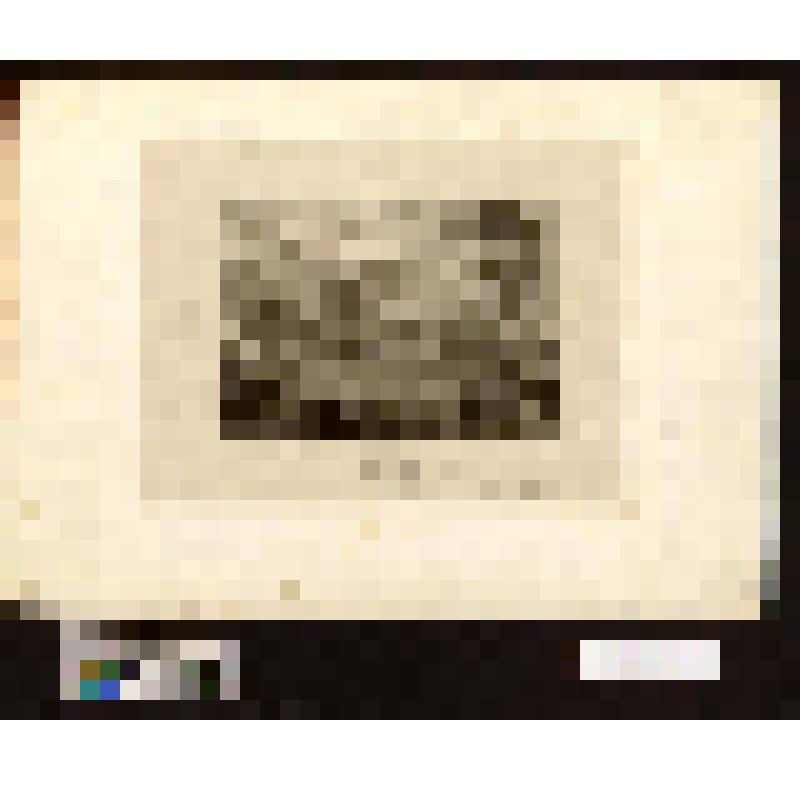 Вид вулкана Этна - в глубине дымящийся кратер, на первом плане группа людей на лужайке с деревьями и кустами