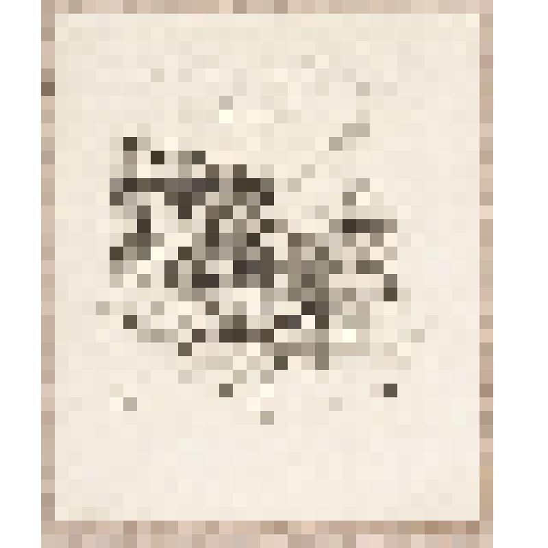 Деревня Вергулье, из альбома  «190 пейзажей; зарисовки, иллюстрации, карикатуры»