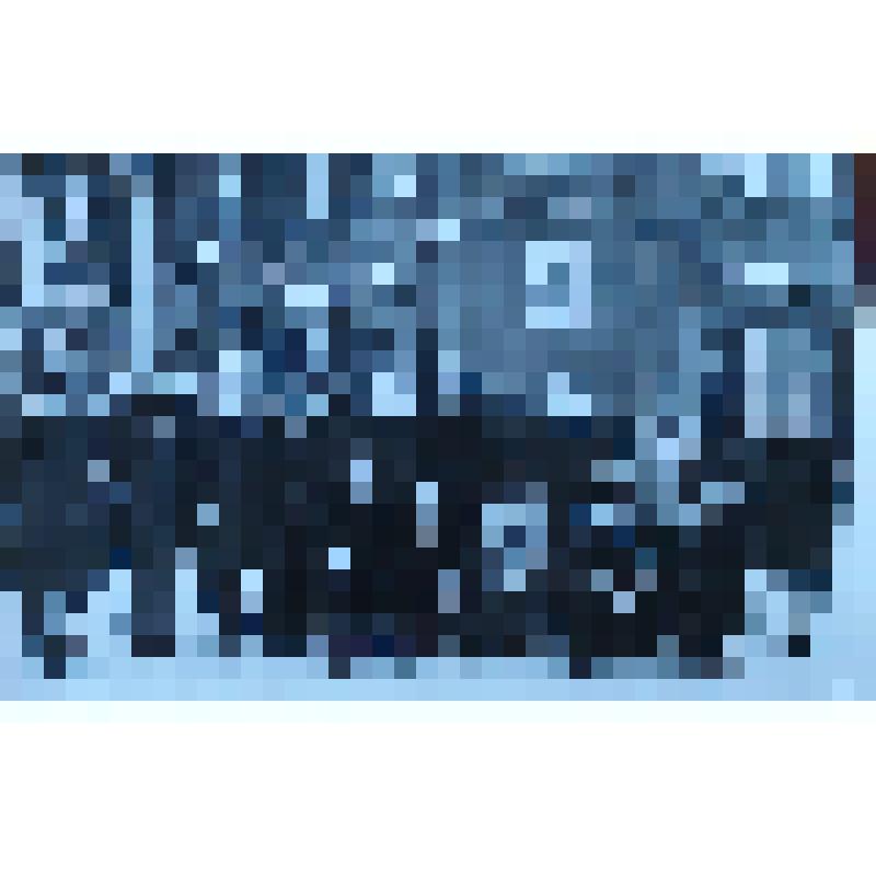 Фотография. Учащиеся Орлово-Розовской и Новоивановской школ. Туристическая поездка Куйбышев - Тольятти