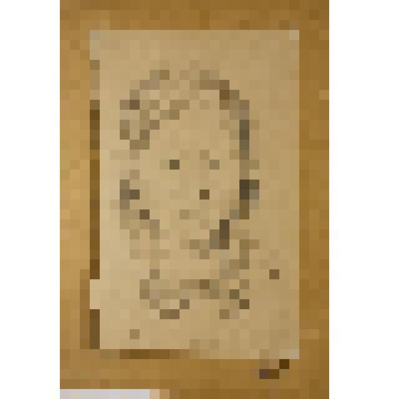 Удегэ. Портрет с двумя косичками. Рисунок