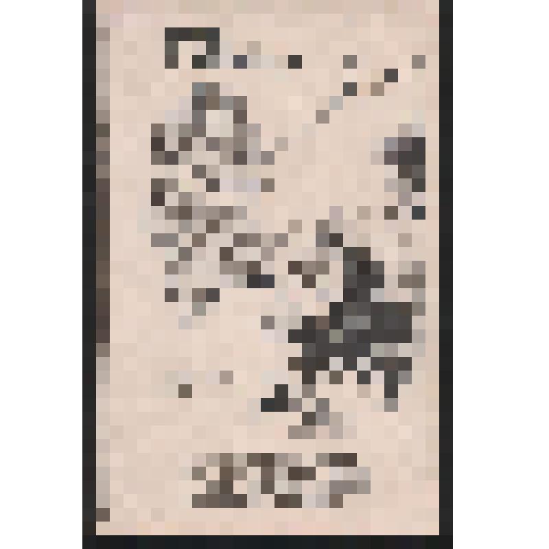 "Наши террористы. Муж имеет много шашней:"