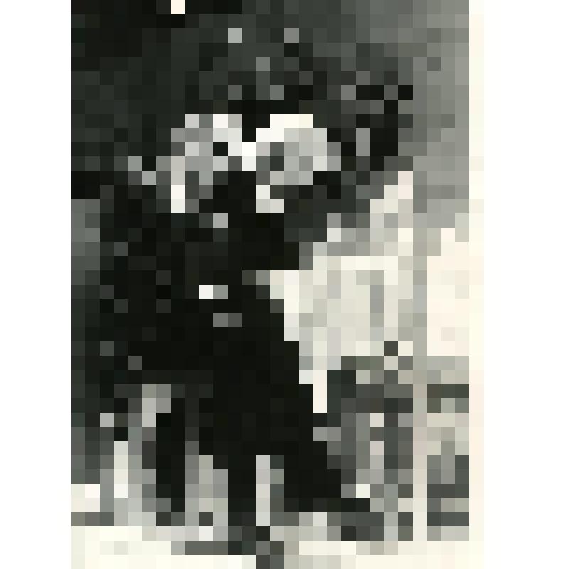 Фотография. Сцена. "Серебряная свадьба" (пост. О. Ефремов, худ. Д. Баровский). Москва, Московский Художественный академический театр