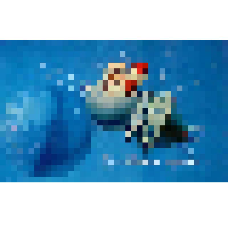 Открытка художественная "С Новым годом!" из коллекции бытовых предметов семьи Быковой Валерии Алексеевны, преподавателя ПИ СГУ