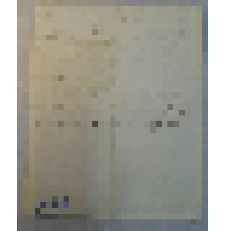 Запись о необходимости взыскать с Василия Нестеровича Грибушина 488 руб. 70 коп. (затем - 388 руб. 70 коп.); приписка, сделанная 6 февраля 1860 г., об уплате (Грибушиным) 238 руб. 70 коп