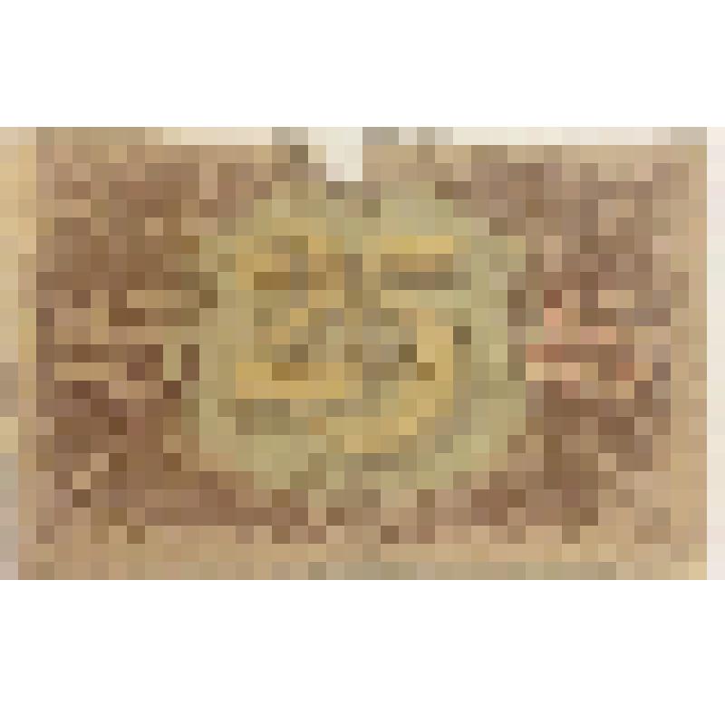 Государственный денежный знак РСФСР образца 1922 г. Номинал 25 рублей